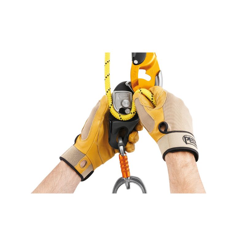 petzl-rig-1-hd