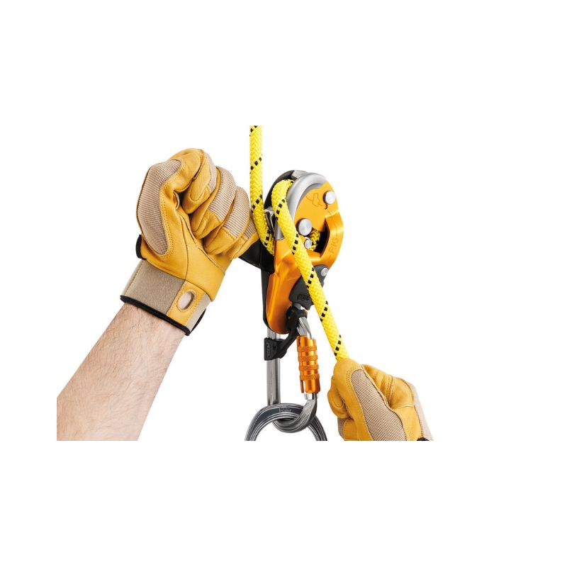 petzl-rig-2-hd